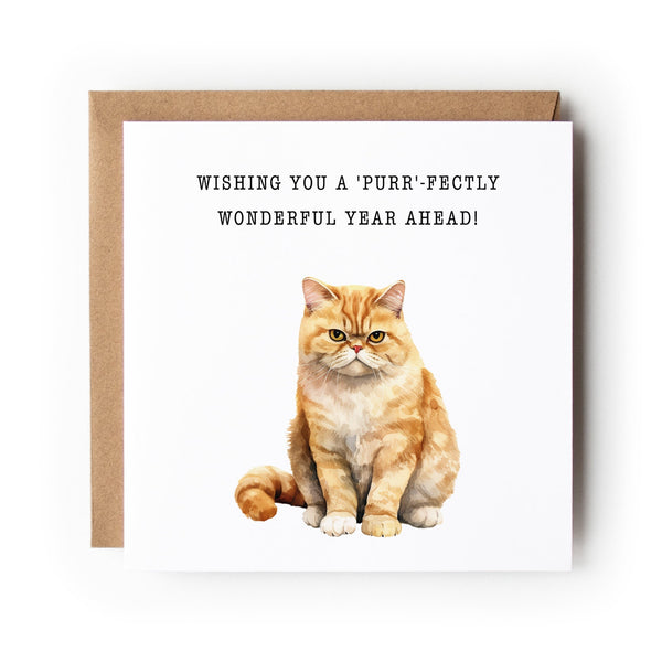 Cat Birthday Card, Funny Cat Card, Greeting Card, Birthday Card, Card for Cat Lover, Card For Her, Card For Him, Exotic Shorthair Cat