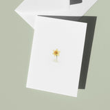 Pack of 6 Welsh Inspired A6 Greeting Cards, Minimal Welsh Illustrations