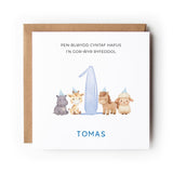 Personalised Welsh First Birthday Card for Boy, Son Grandson Nephew, Pen-blwydd Cyntaf Hapus