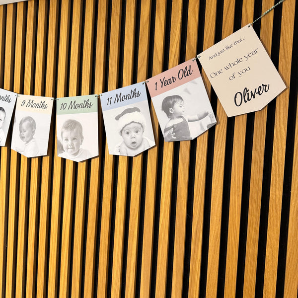 Newborn to 12 Months Milestone Bunting, First Birthday Photo Bunting, Keepsake Prints