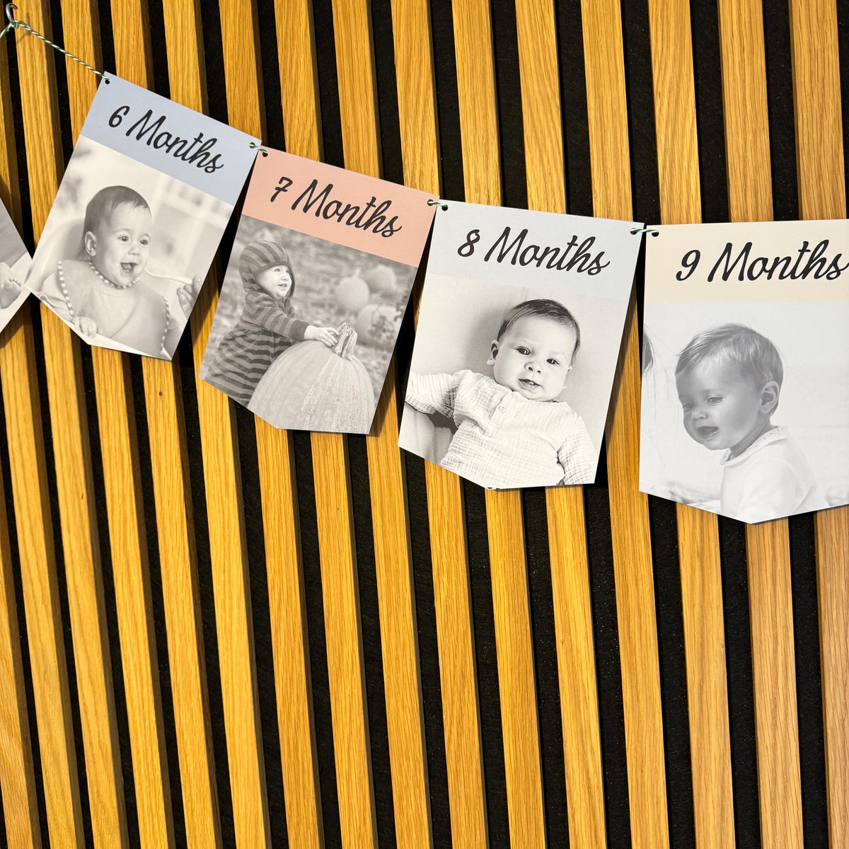 Newborn to 12 Months Milestone Bunting, First Birthday Photo Bunting, Keepsake Prints