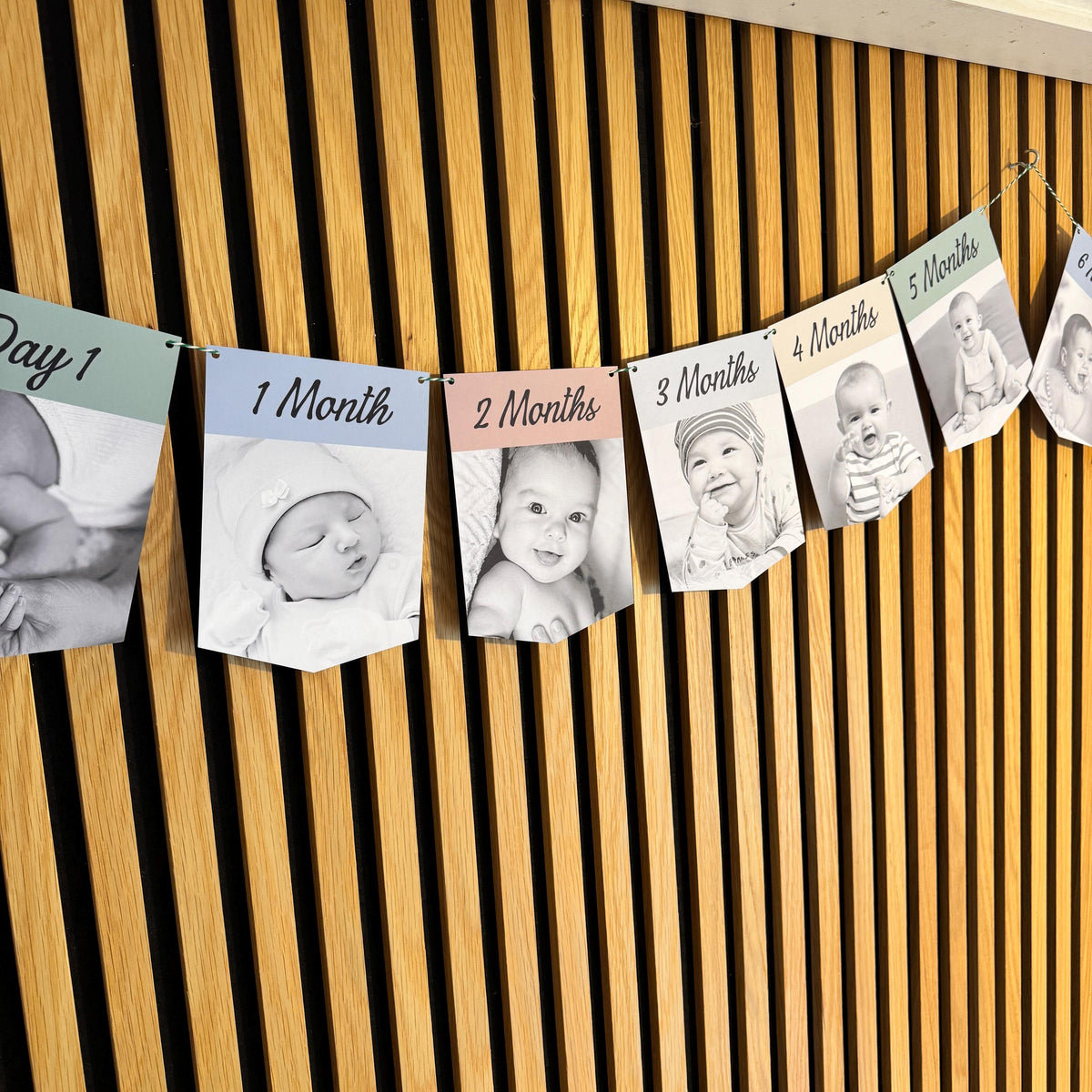 Newborn to 12 Months Milestone Bunting, First Birthday Photo Bunting, Keepsake Prints