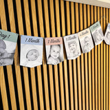 Newborn to 12 Months Milestone Bunting, First Birthday Photo Bunting, Keepsake Prints