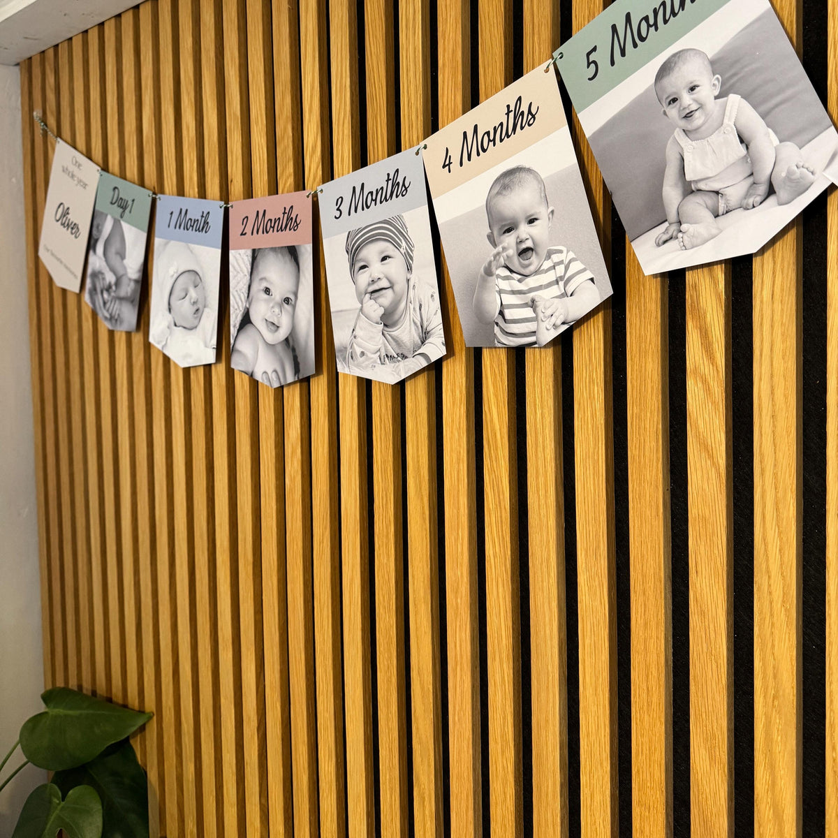 Newborn to 12 Months Milestone Bunting, First Birthday Photo Bunting, Keepsake Prints