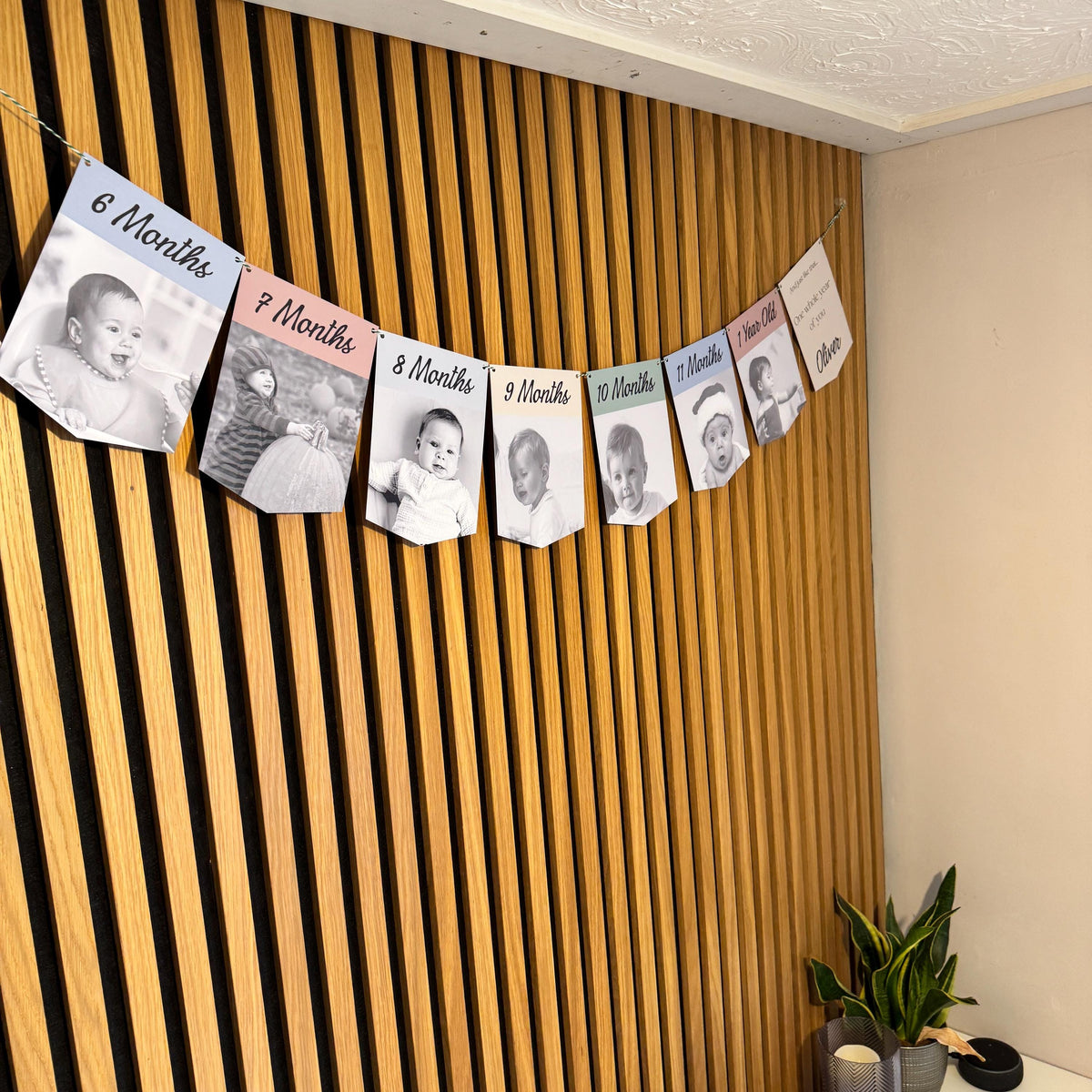 Newborn to 12 Months Milestone Bunting, First Birthday Photo Bunting, Keepsake Prints