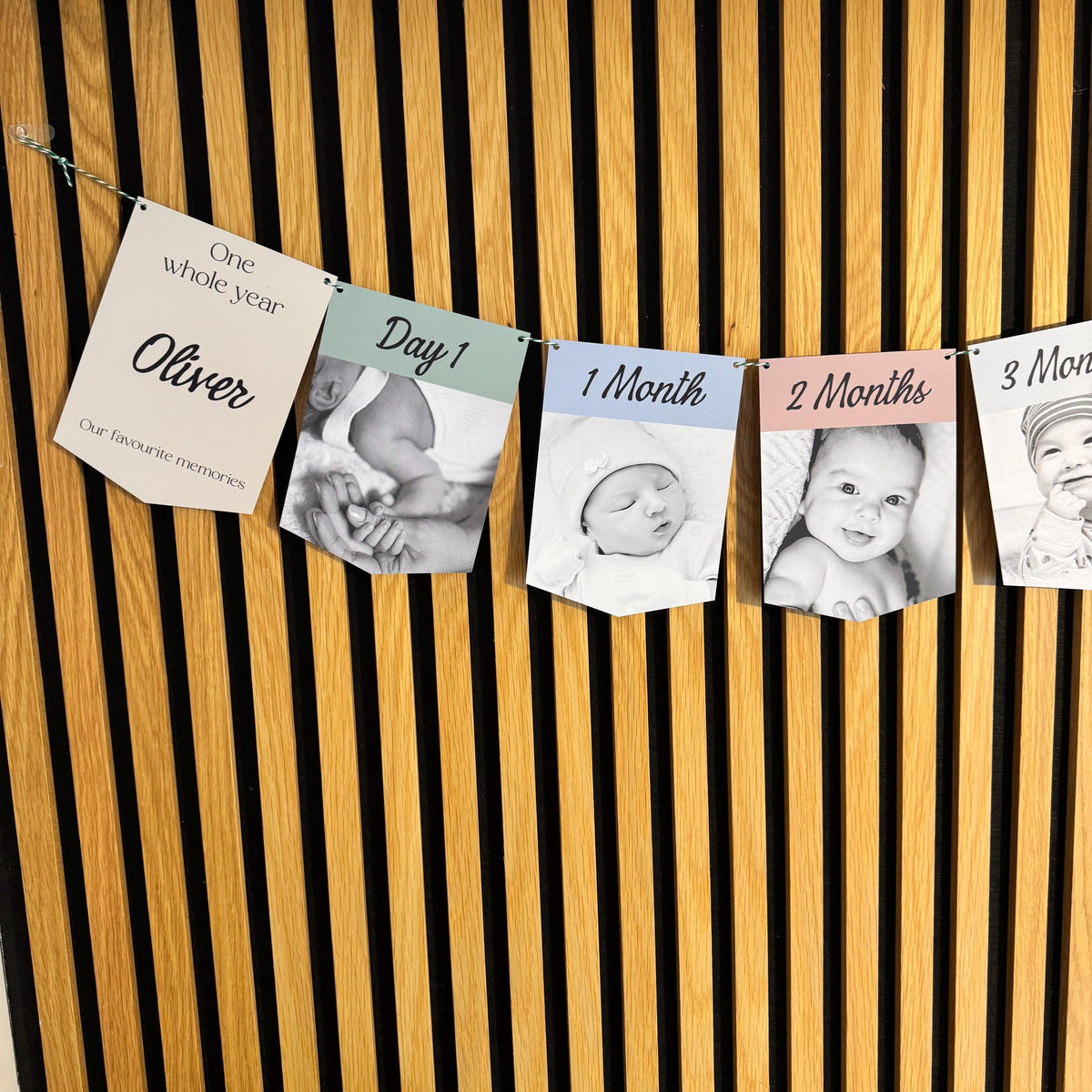 Newborn to 12 Months Milestone Bunting, First Birthday Photo Bunting, Keepsake Prints