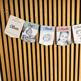 Newborn to 12 Months Milestone Bunting, First Birthday Photo Bunting, Keepsake Prints