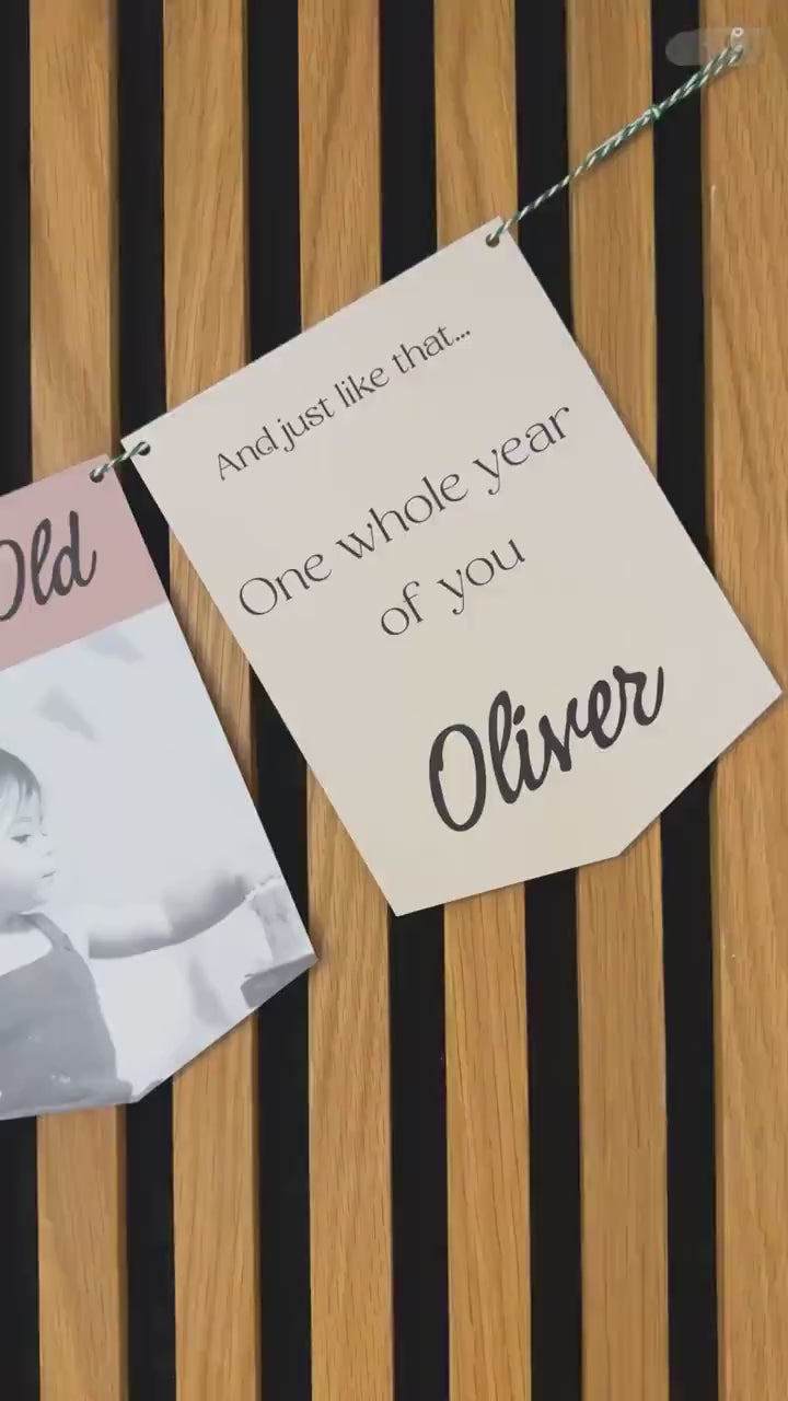 Newborn to 12 Months Milestone Bunting,  First Birthday Photo Bunting, Keepsake Prints