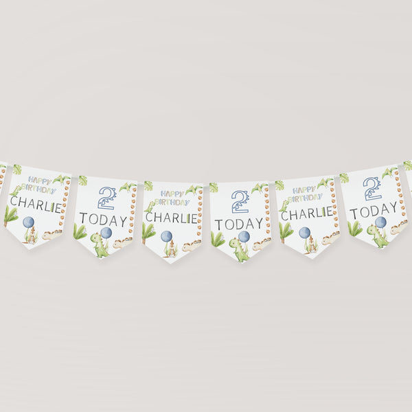 Personalised Dinosaur Birthday Bunting, Party Decor, Birthday Party, Dinosaur Birthday, Children's Party Decoration, Kids Birthday Banner,