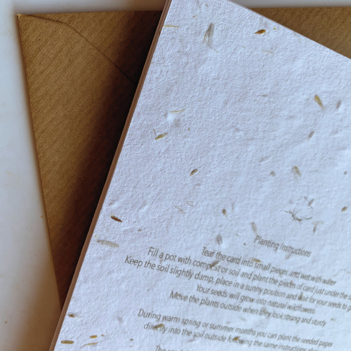 Plantable Bridesmaid Proposal Card, Eco Friendly Wildflower Seed Card, Flower Girl Proposal Card, Maid of Honour Card, Will you be my Card.