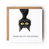Cat Birthday Card, Black Cat, Funny Cat Card, Greeting Card, Birthday Card, Card for Cat Lover, Card For Her, Card For Him, Cat.